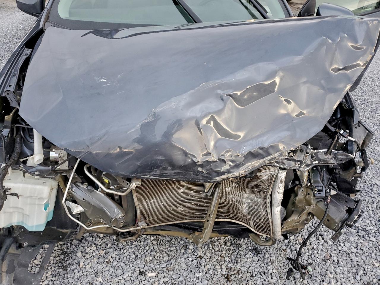 2019 TOYOTA COROLLA L photo 11