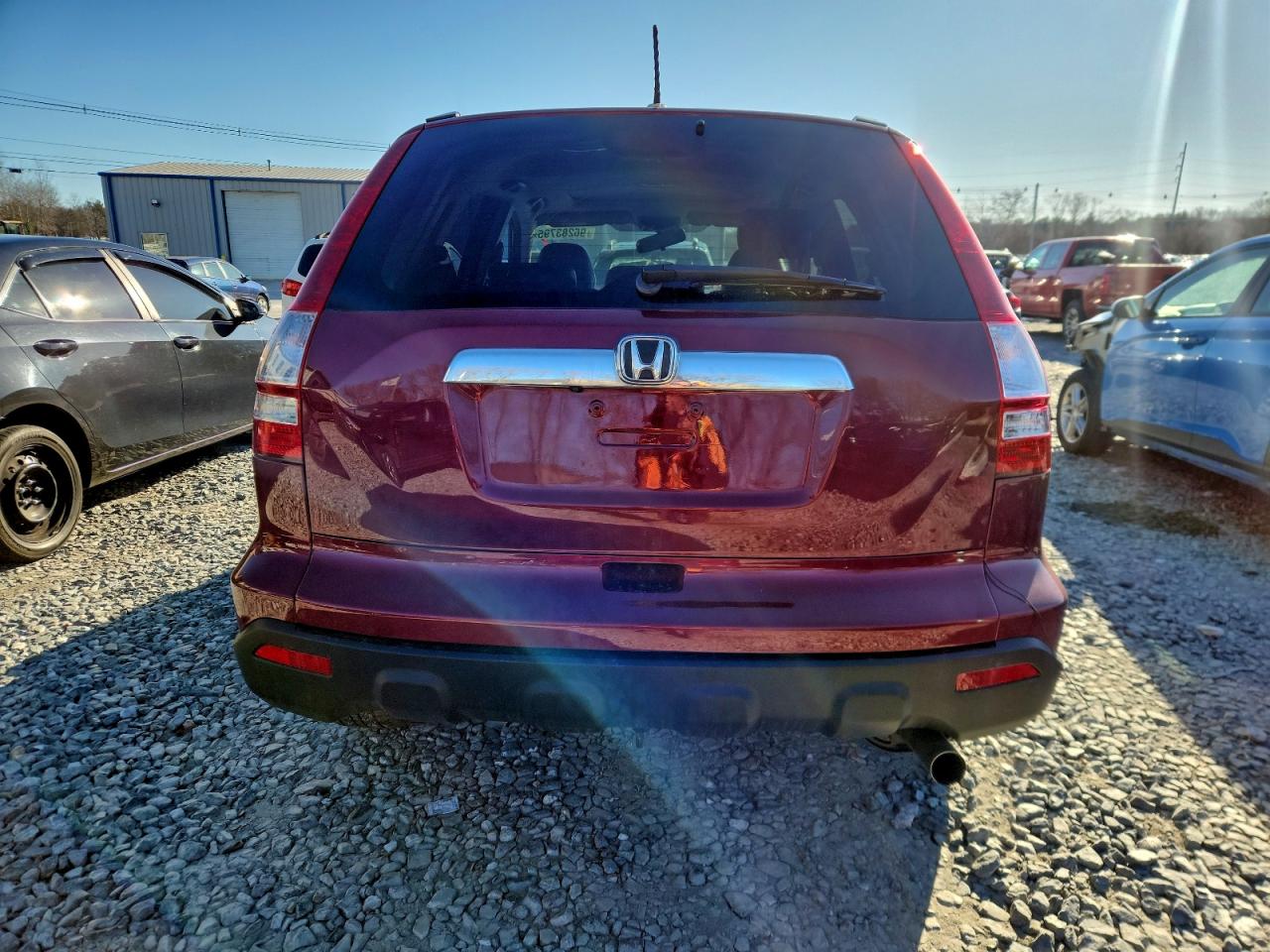 2009 HONDA CR-V EXL photo 6