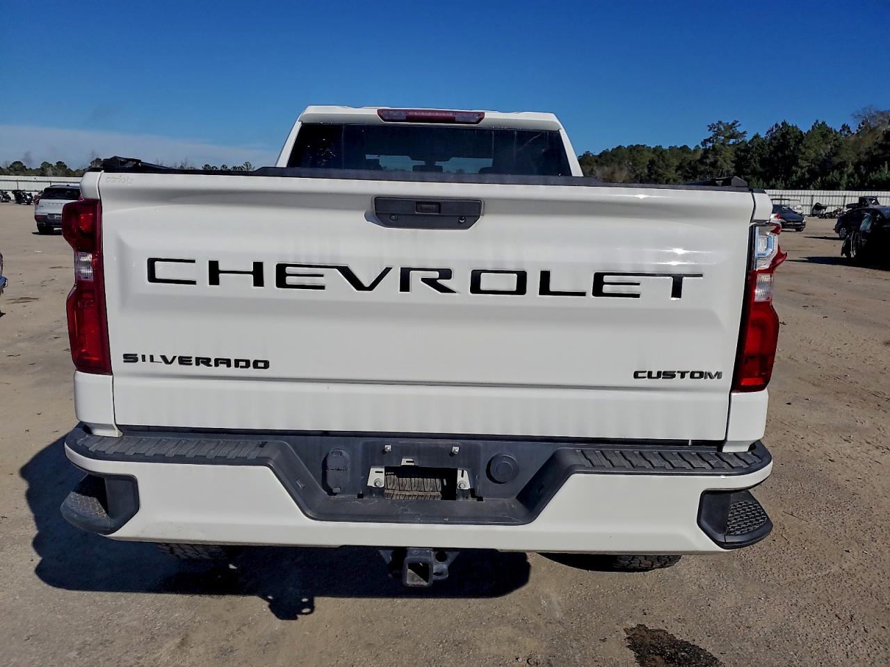 2020 CHEVROLET SILVERADO C1500 CUSTOM photo 6