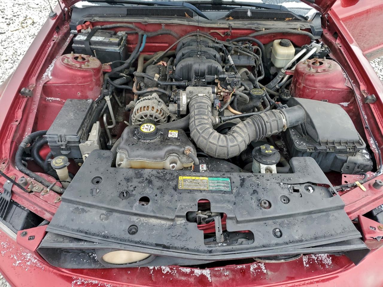 2007 FORD MUSTANG photo 11