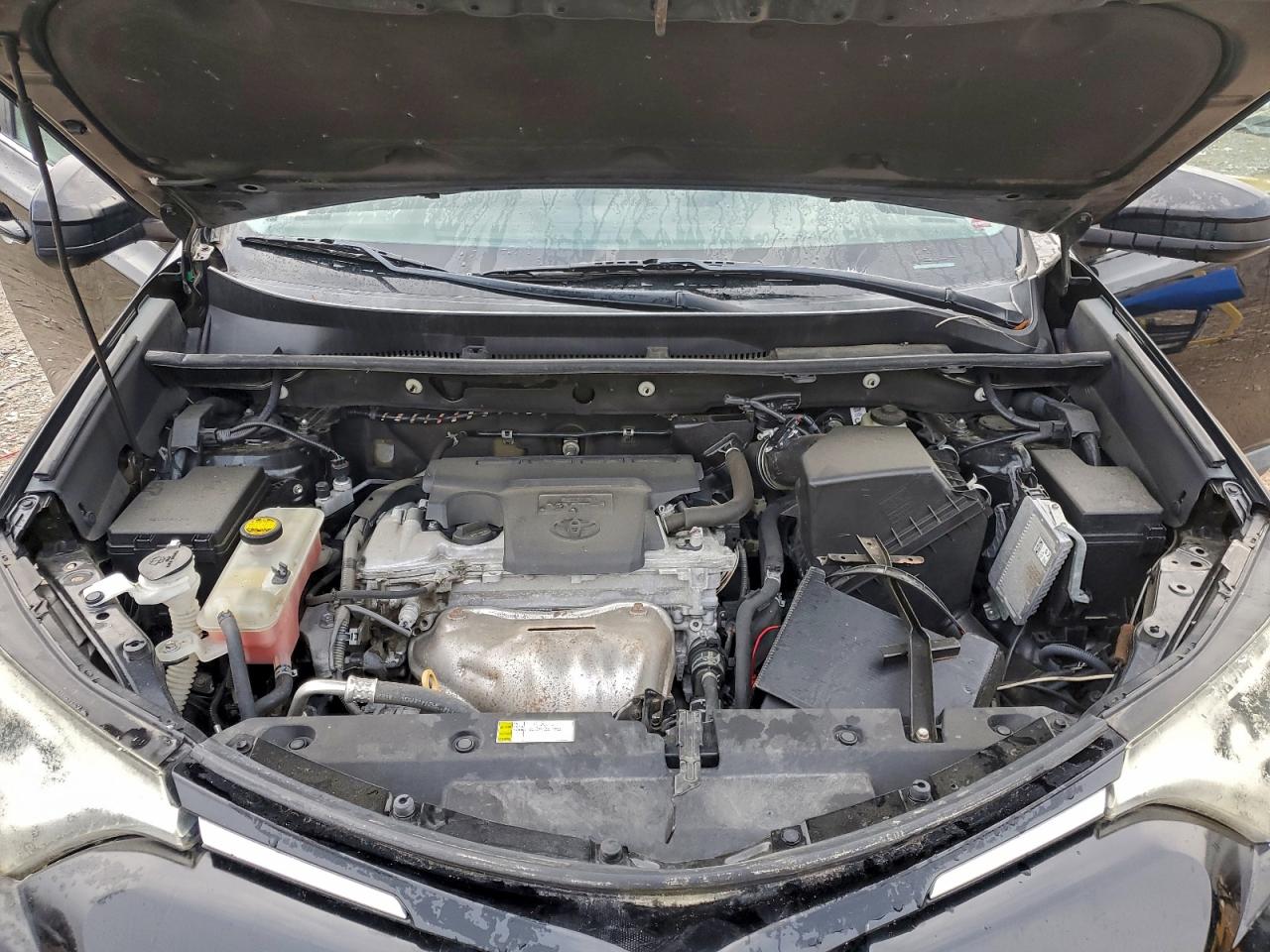 2016 TOYOTA RAV4 LE photo 12
