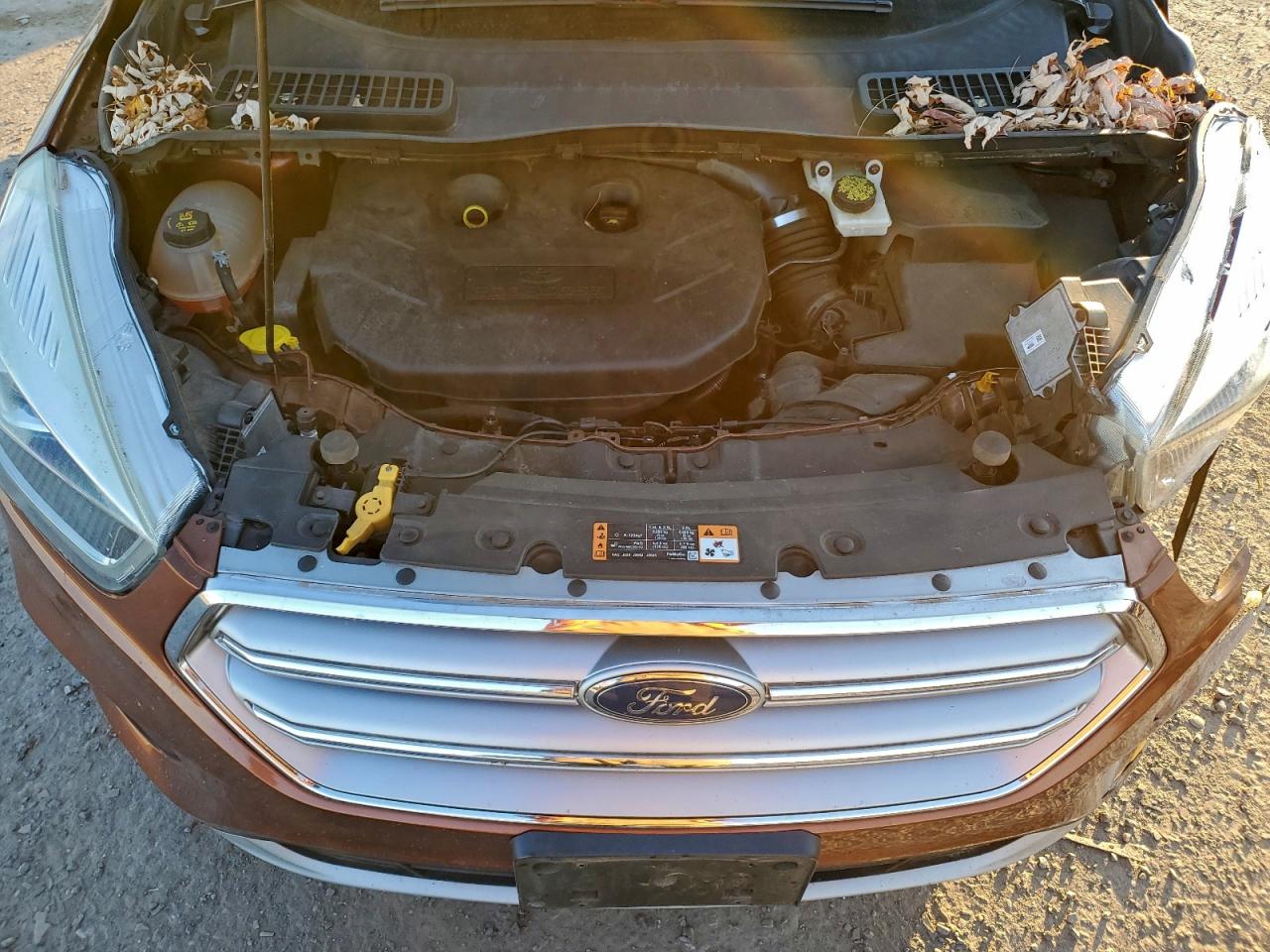2017 FORD ESCAPE SE photo 23