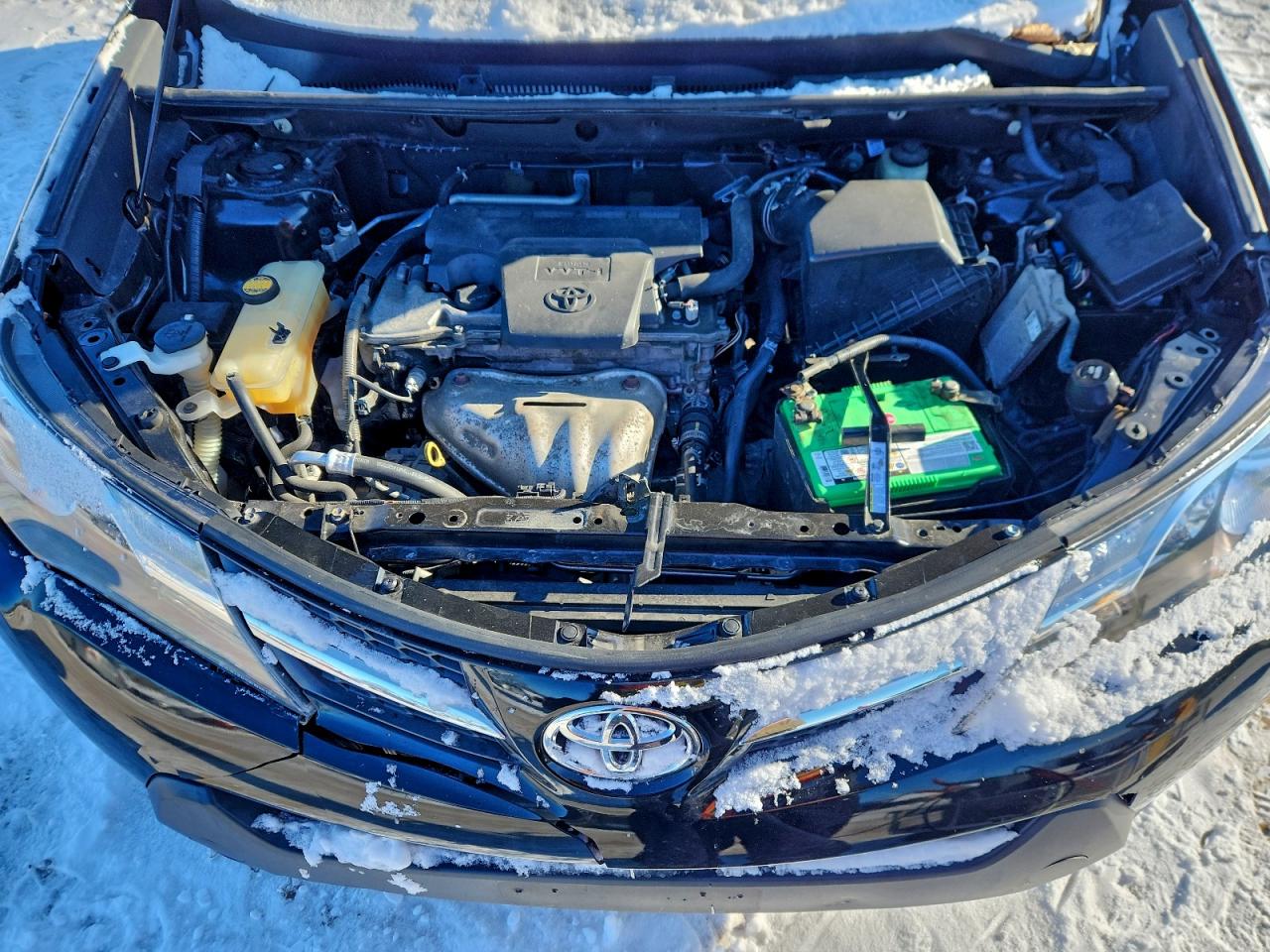 2015 TOYOTA RAV4 XLE photo 12
