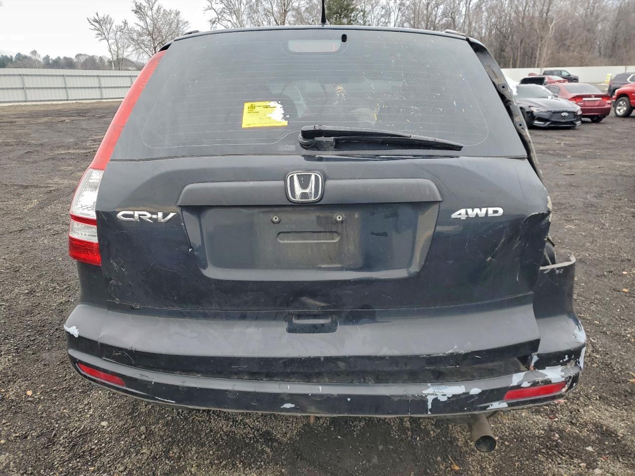 2010 HONDA CR-V LX photo 6