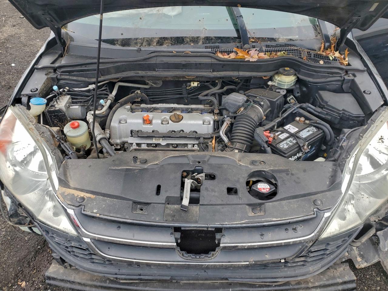 2010 HONDA CR-V LX photo 12