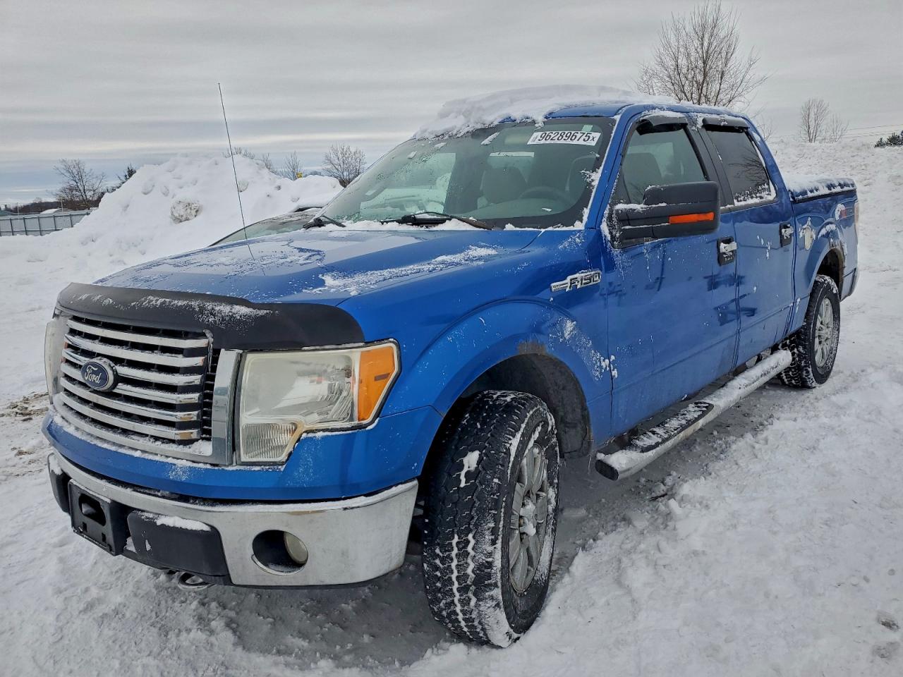 2010 FORD F150