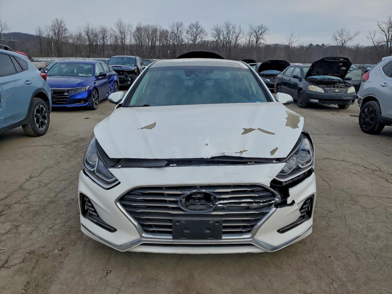 2018 HYUNDAI SONATA SEL photo 5