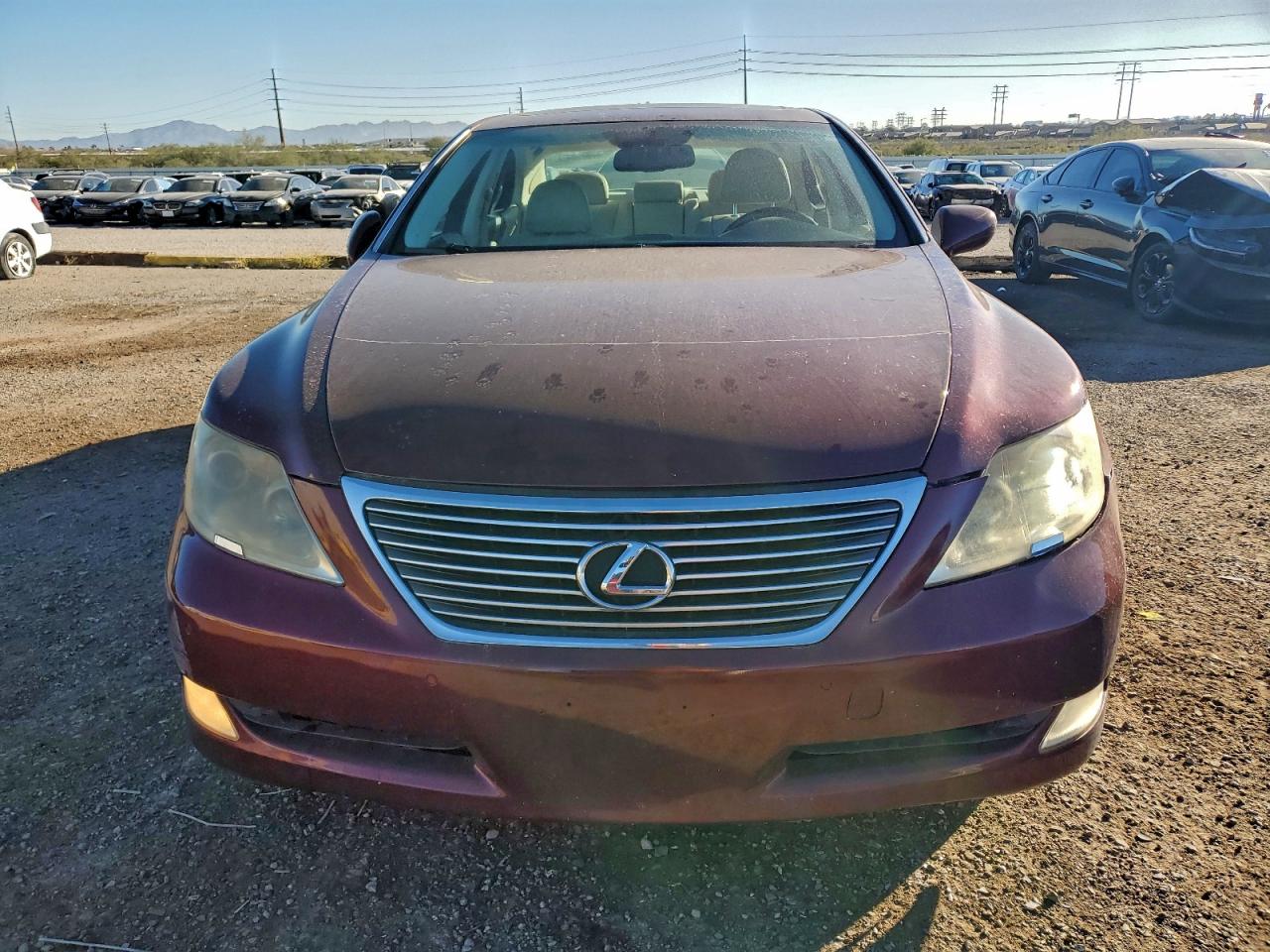 2008 LEXUS LS 460 photo 5