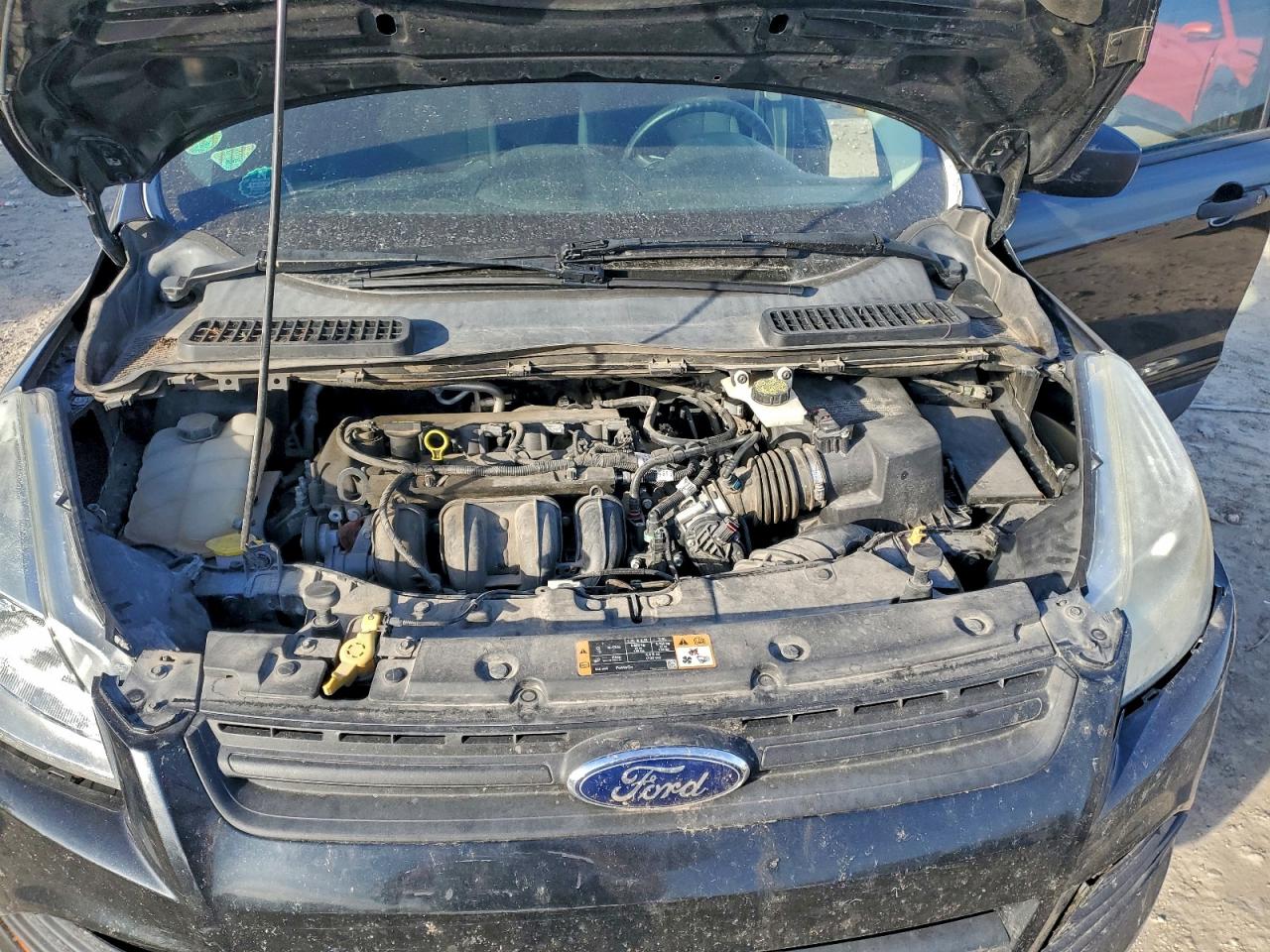 2014 FORD ESCAPE S photo 12