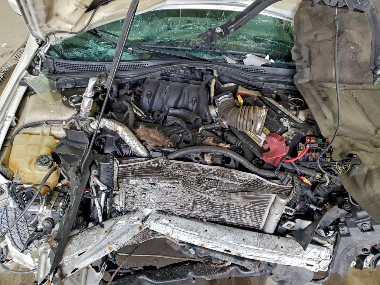 2010 FORD FUSION SEL photo 11