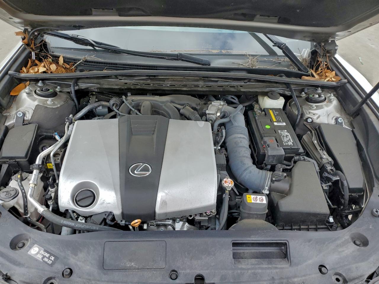 2020 LEXUS ES 350 F SPORT photo 11