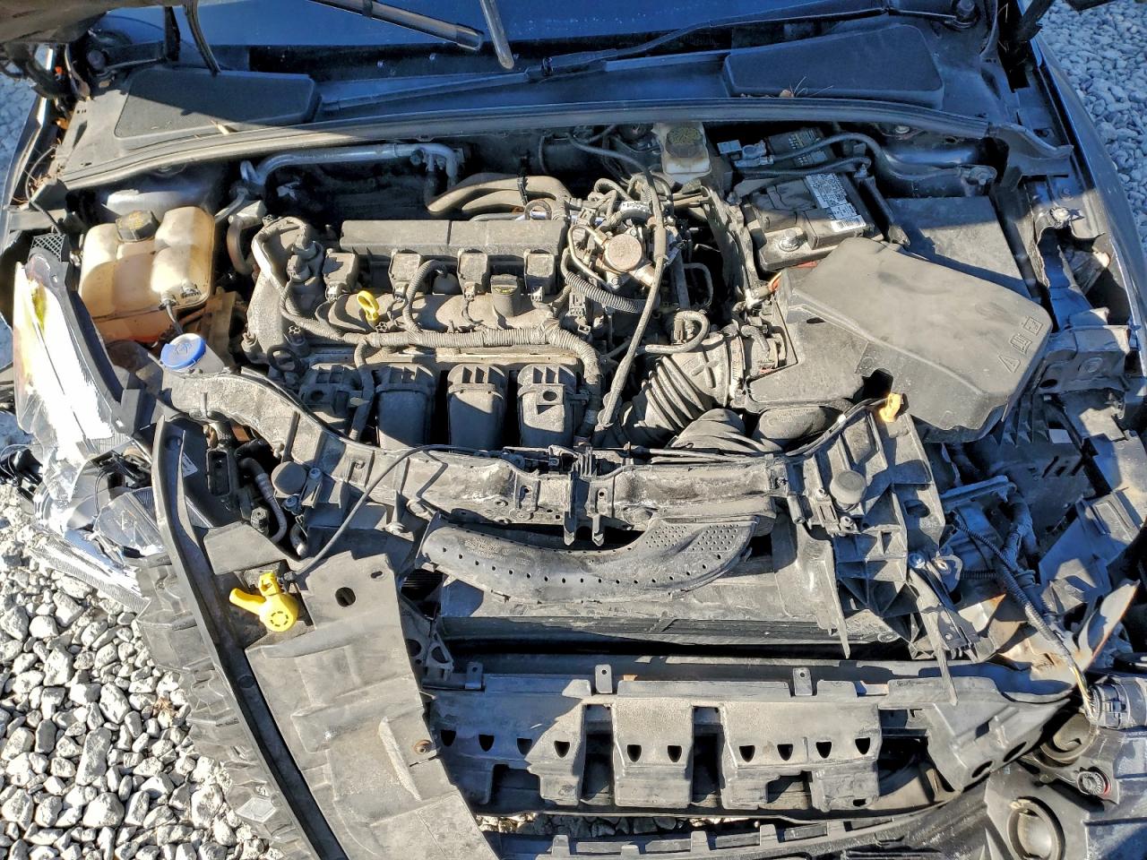 2017 FORD FOCUS SE photo 11