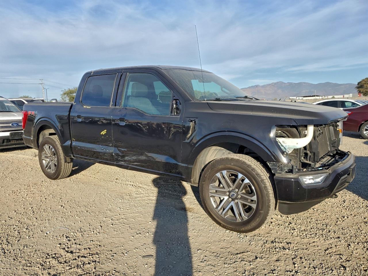 2021 FORD F150 SUPERCREW photo 10
