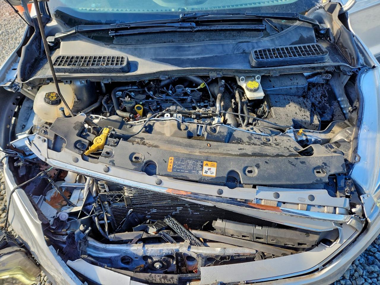 2019 FORD ESCAPE SEL photo 11