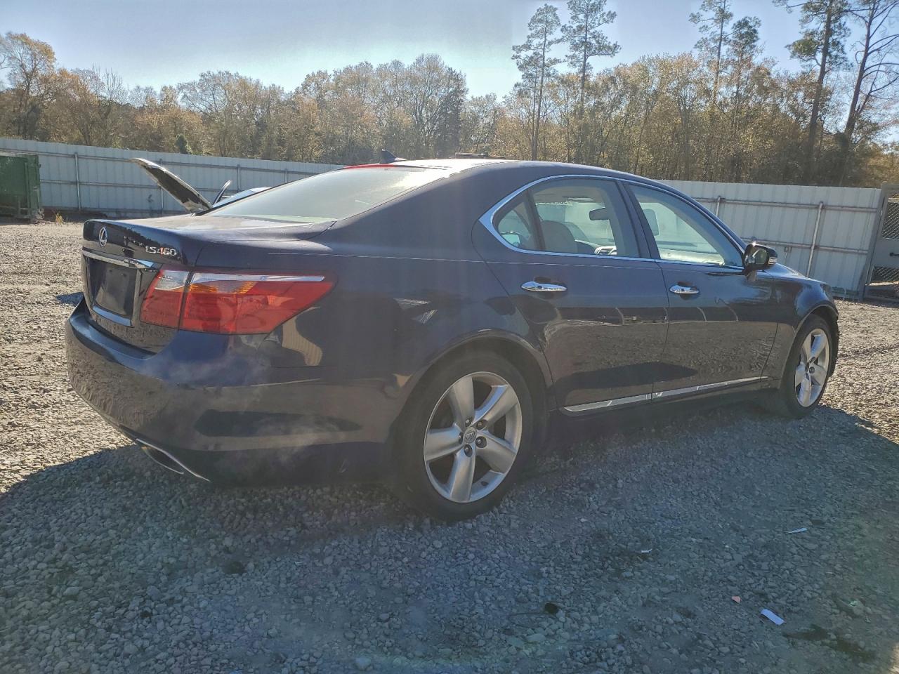2011 LEXUS LS 460 photo 3