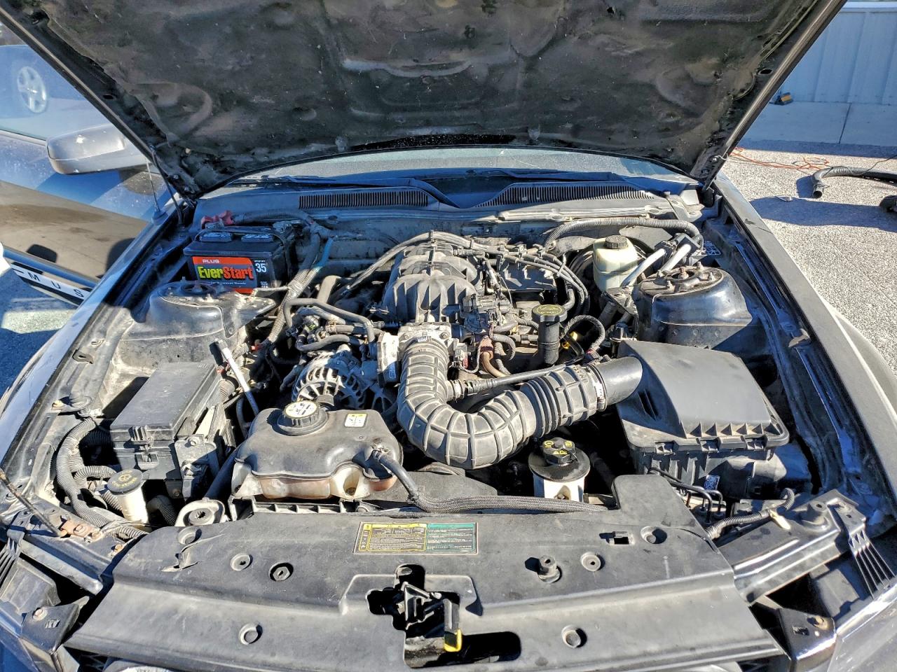 2005 FORD MUSTANG photo 11