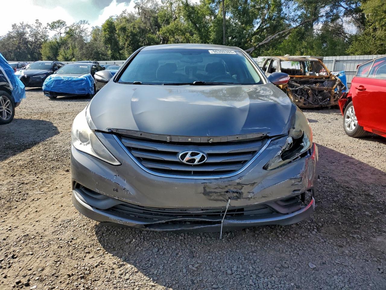 2014 HYUNDAI SONATA GLS photo 5