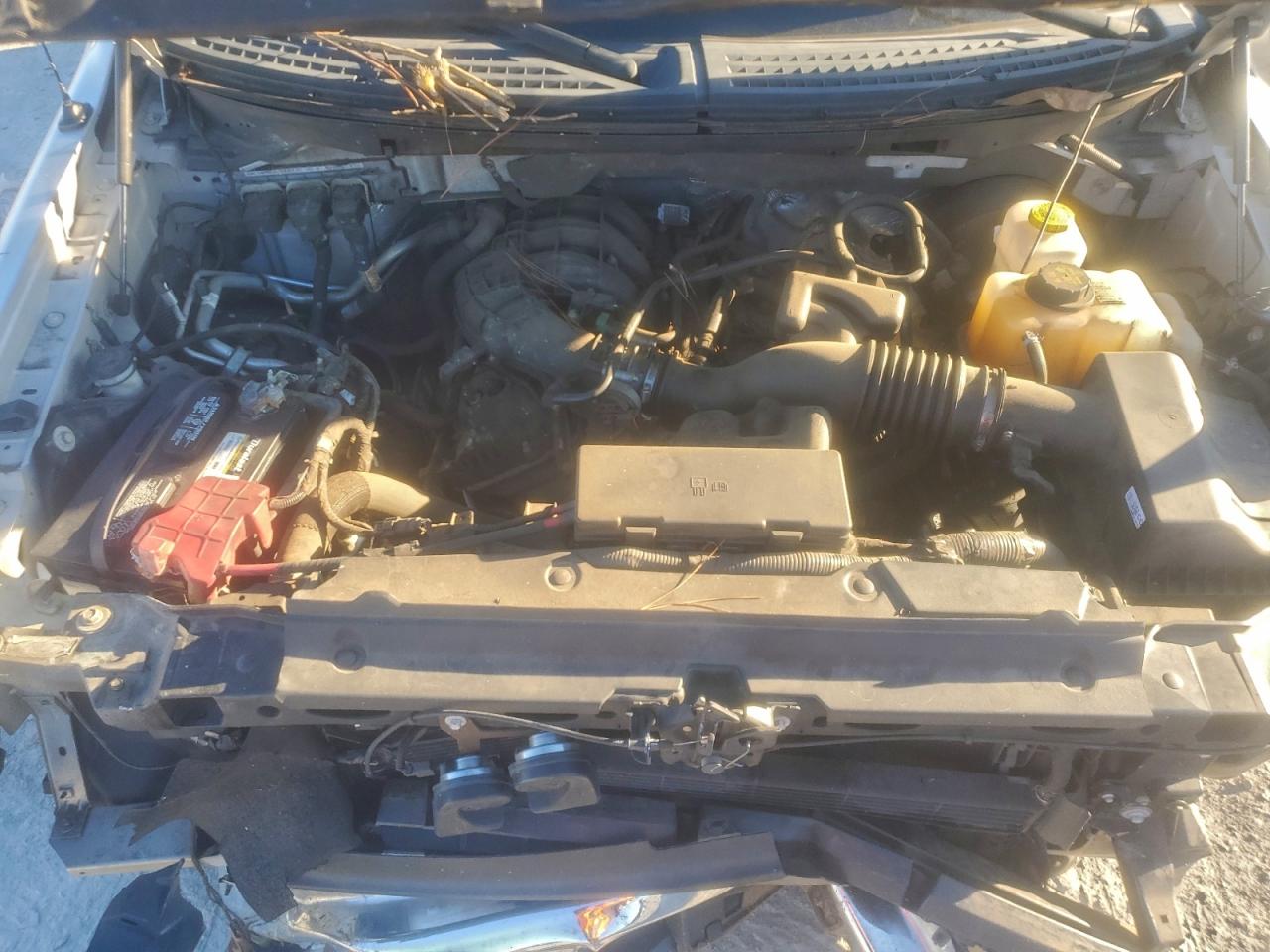 2014 FORD F150 photo 11