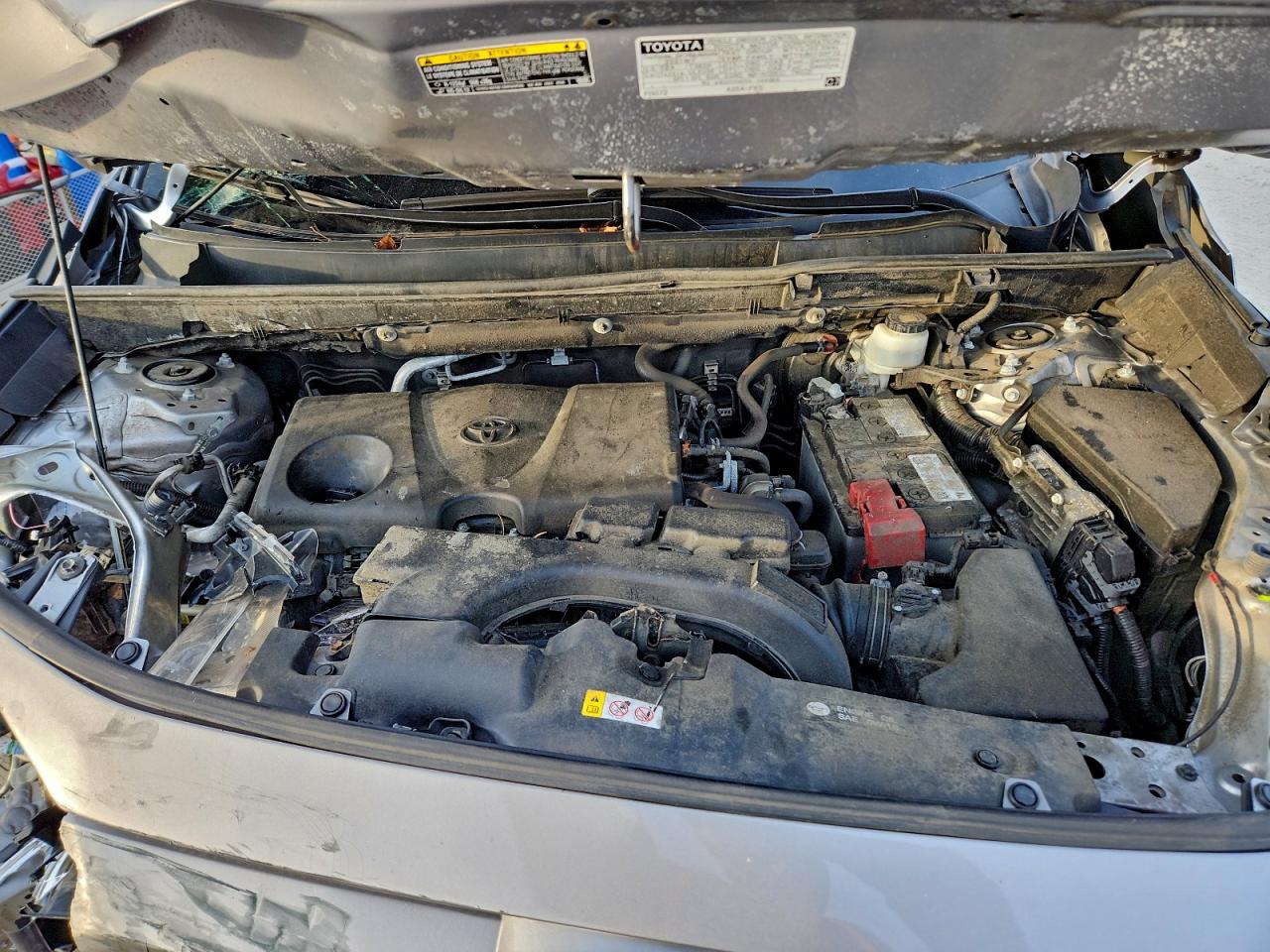 2021 TOYOTA RAV4 LE photo 12