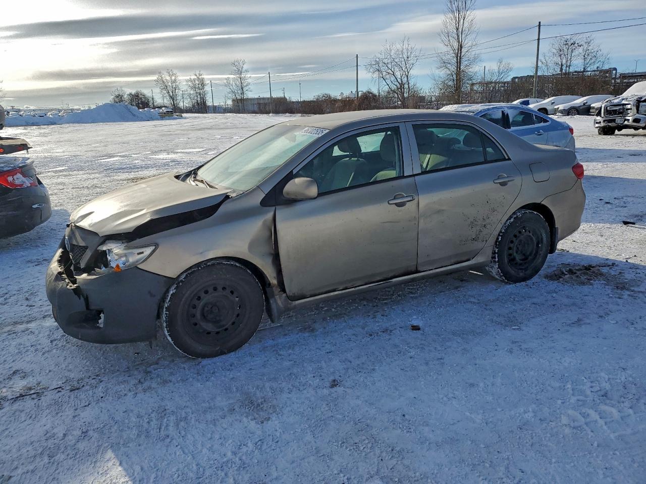 2010 TOYOTA COROLLA