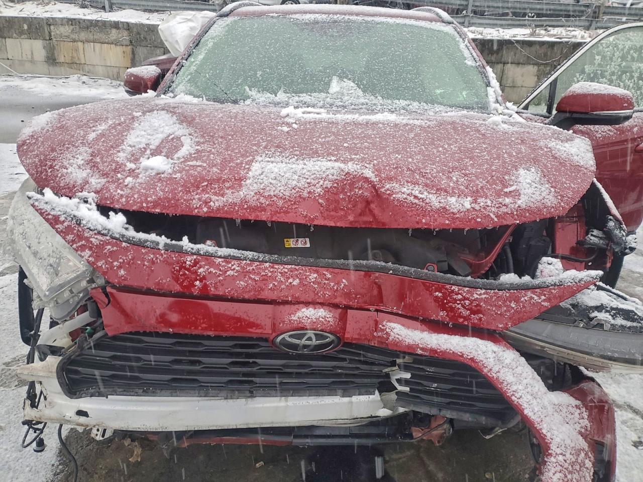 2019 TOYOTA RAV4 XLE photo 12