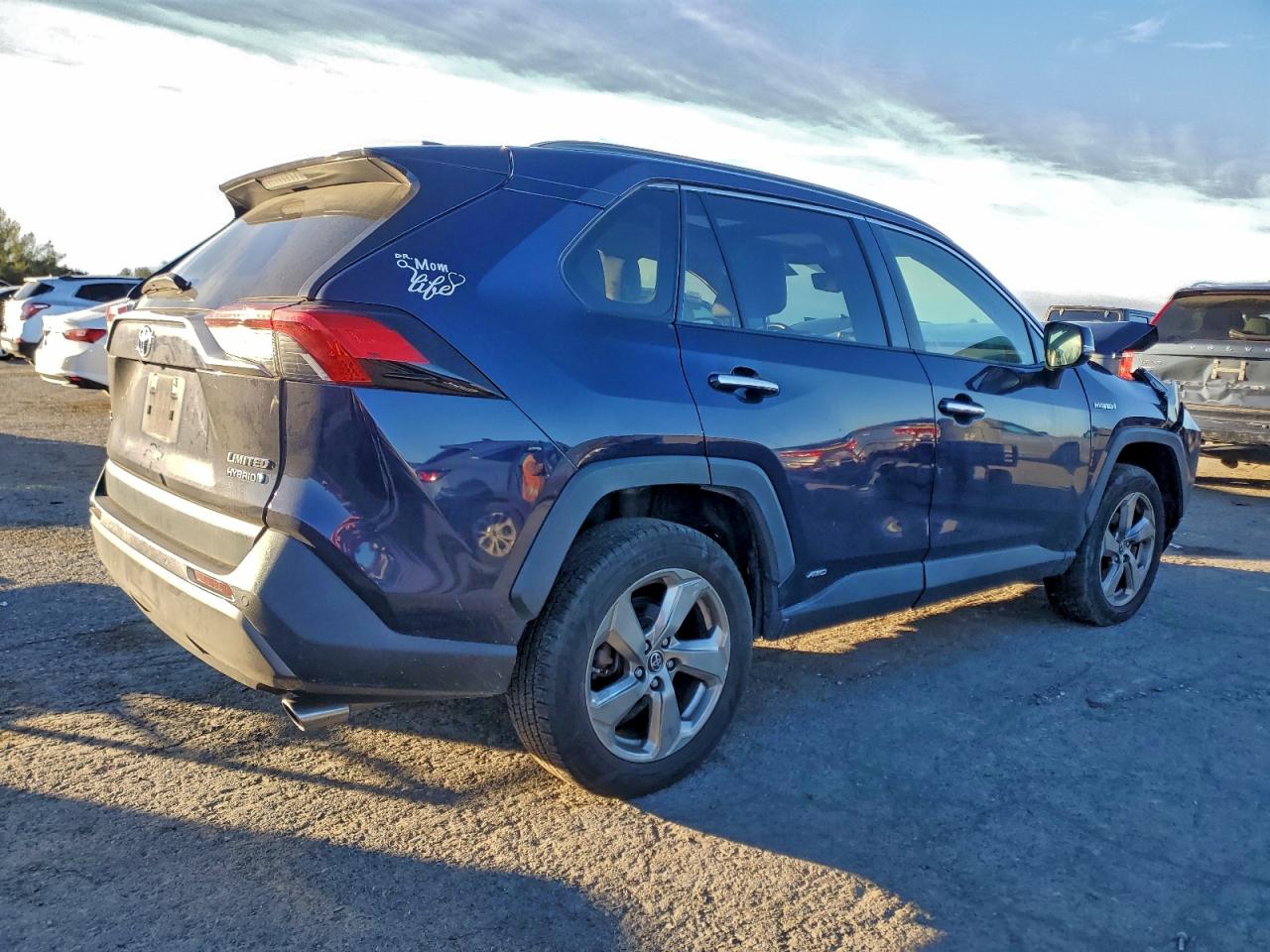 2019 TOYOTA RAV4 LIMITED photo 5