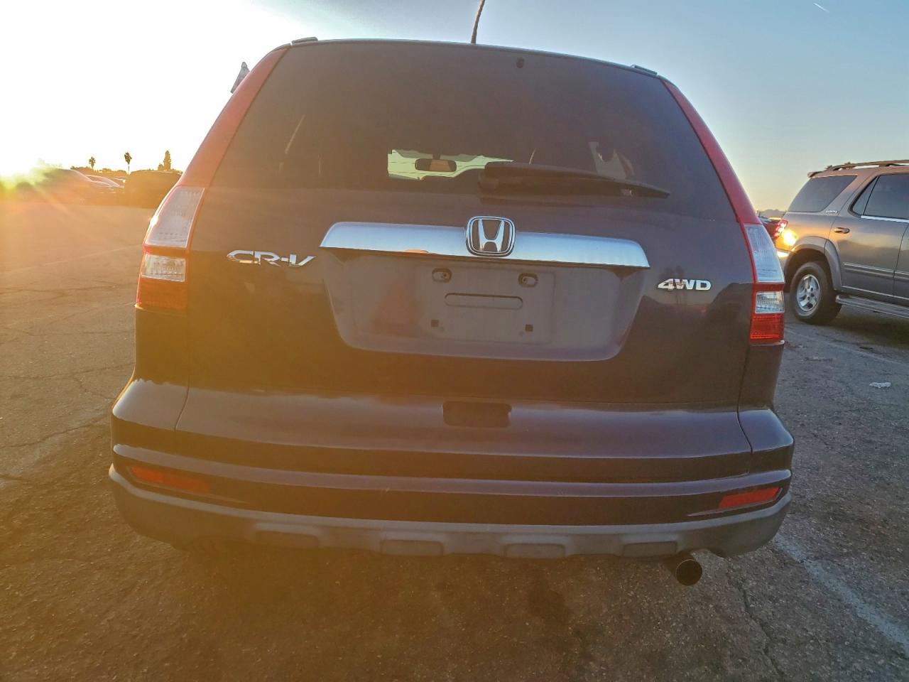 2010 HONDA CR-V EXL photo 6