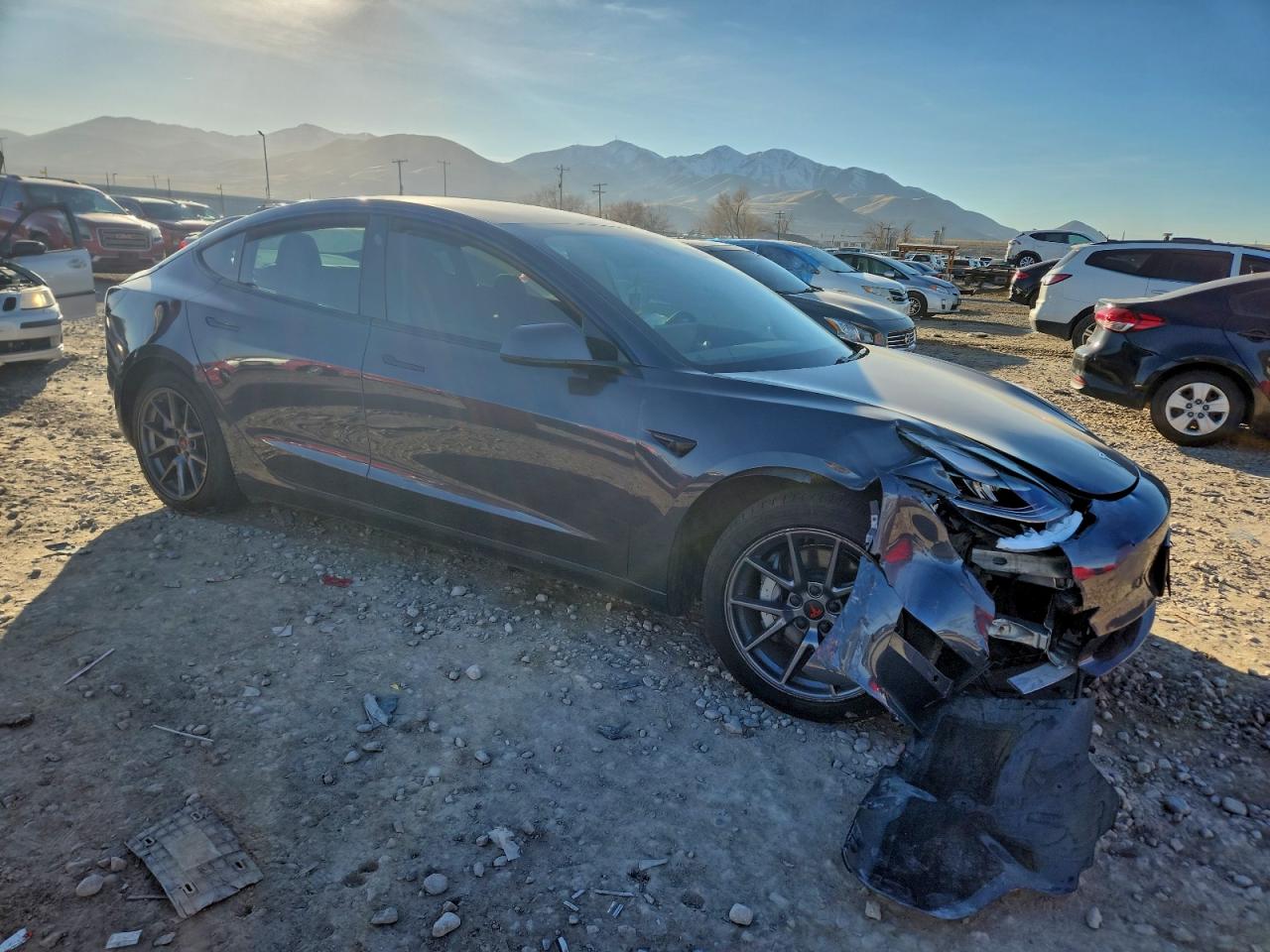 2021 TESLA MODEL 3 photo 4