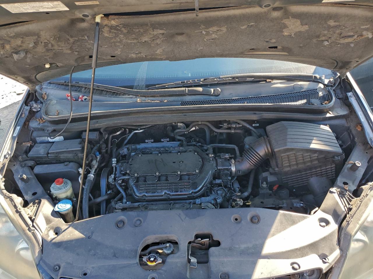 2005 HONDA ODYSSEY EXL photo 12