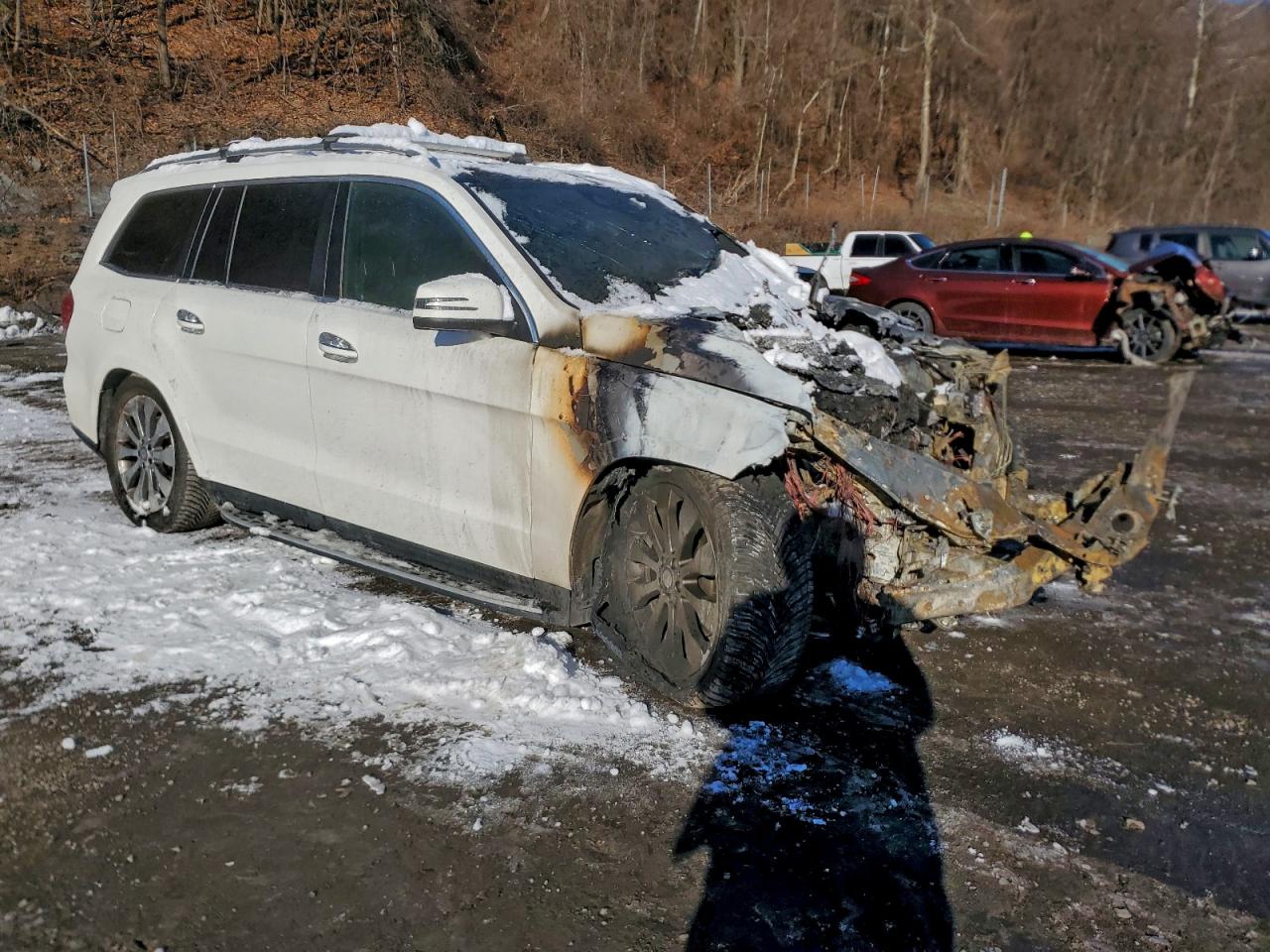 2017 MERCEDES-BENZ GLS 450 4MATIC photo 10