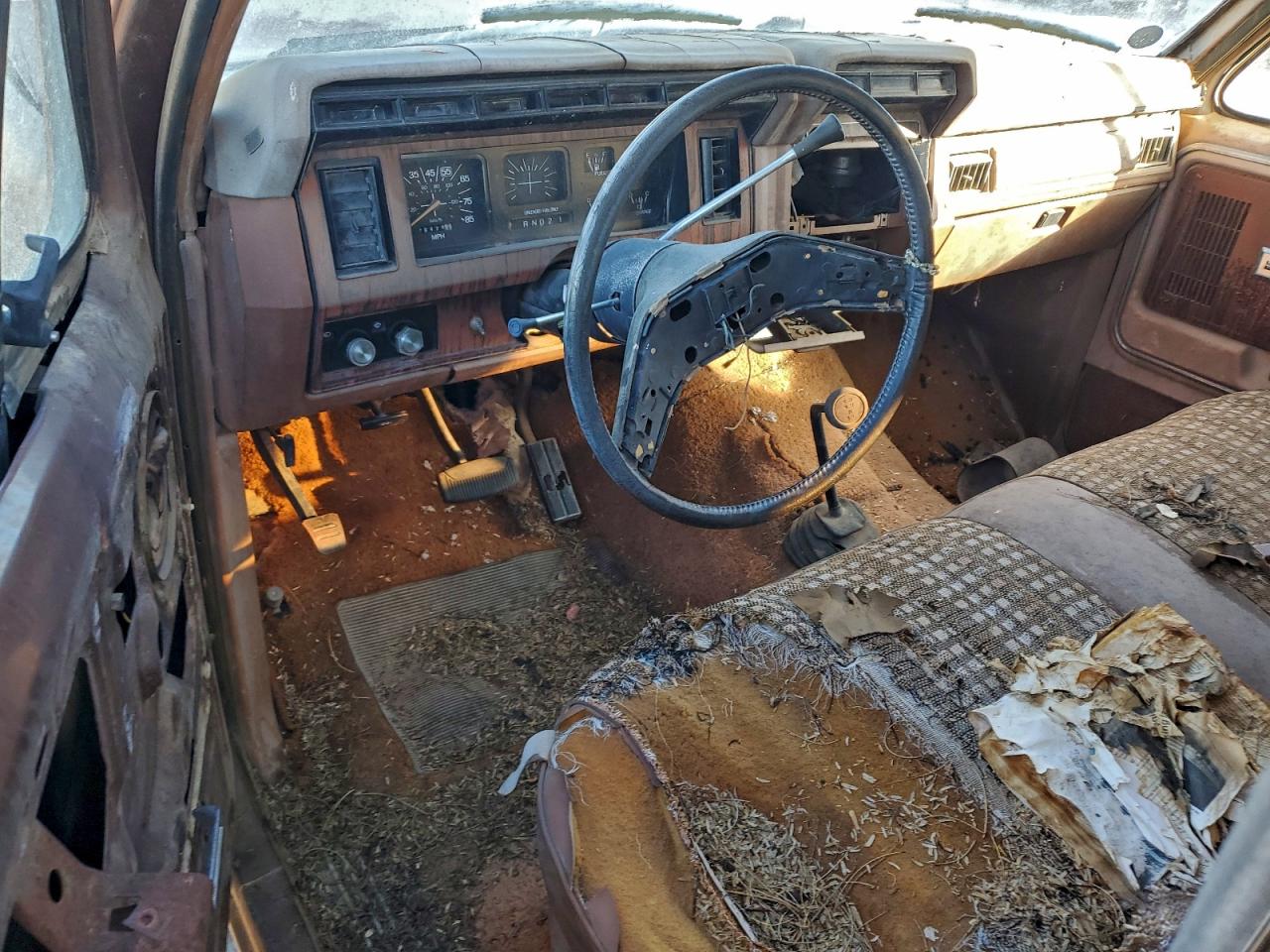 1981 FORD BRONCO photo 15