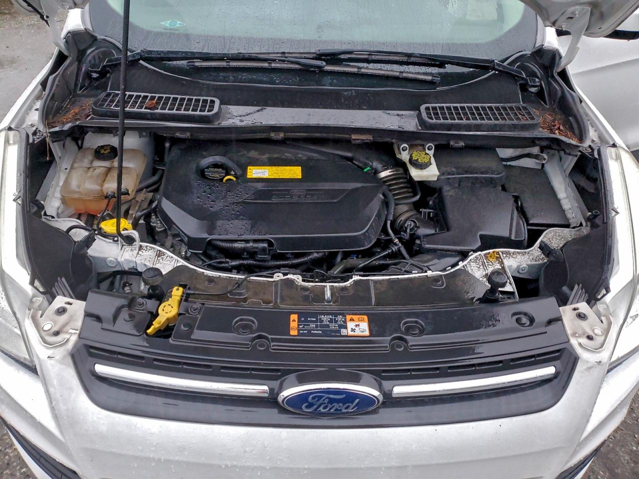 2015 FORD ESCAPE SE photo 12