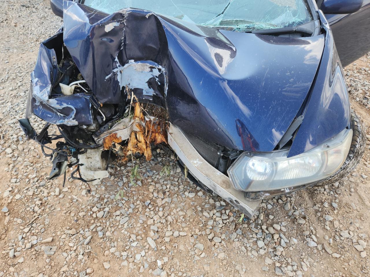 2009 HONDA CIVIC LX photo 11