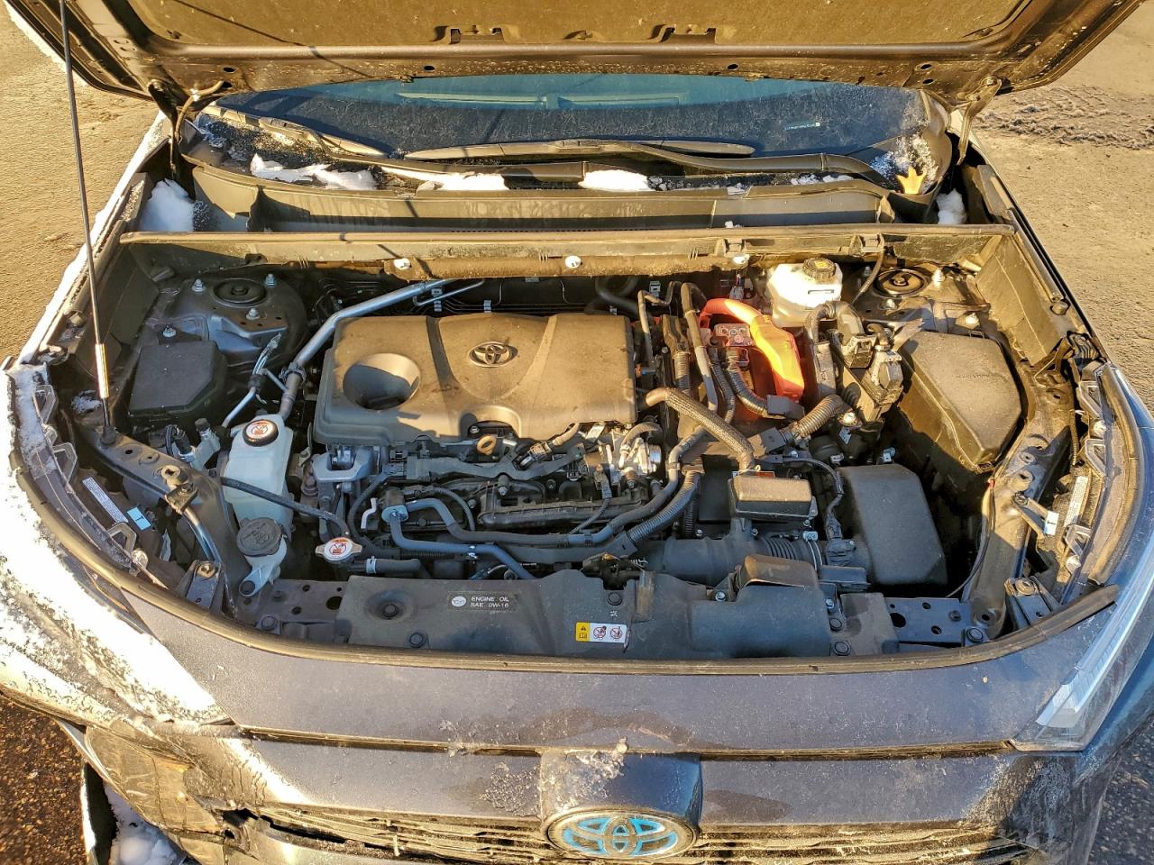 2024 TOYOTA RAV4 XLE photo 12