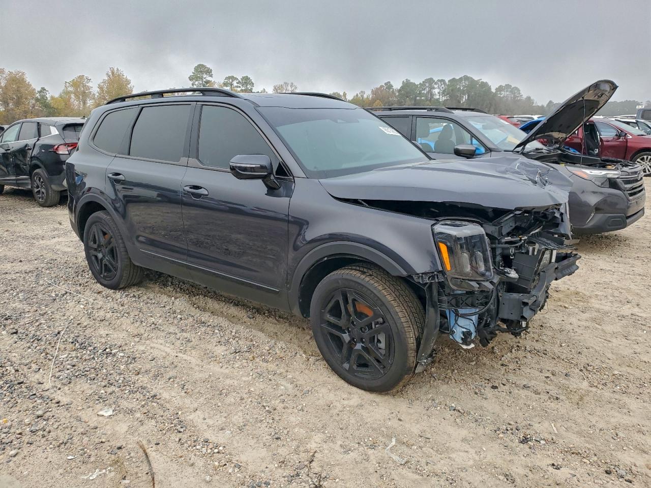 2025 KIA TELLURIDE SX photo 4