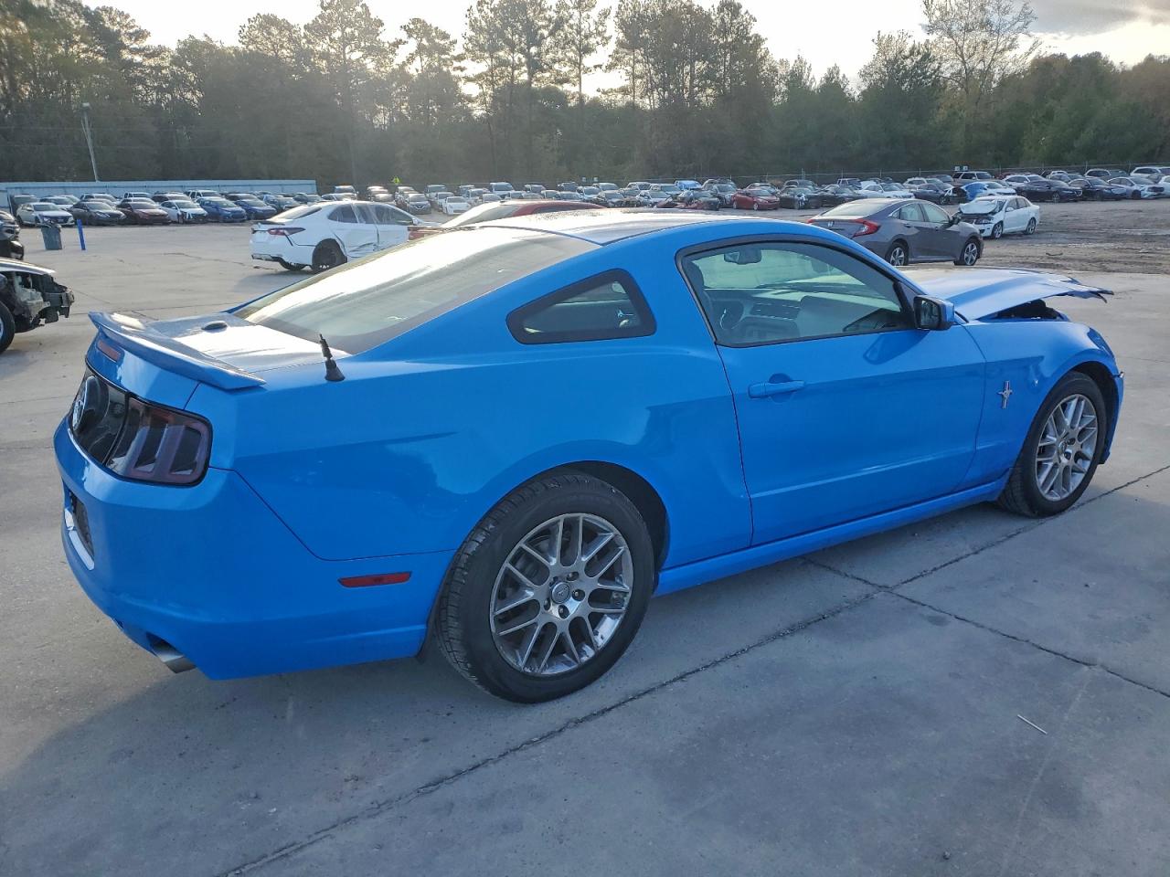 2013 FORD MUSTANG photo 3