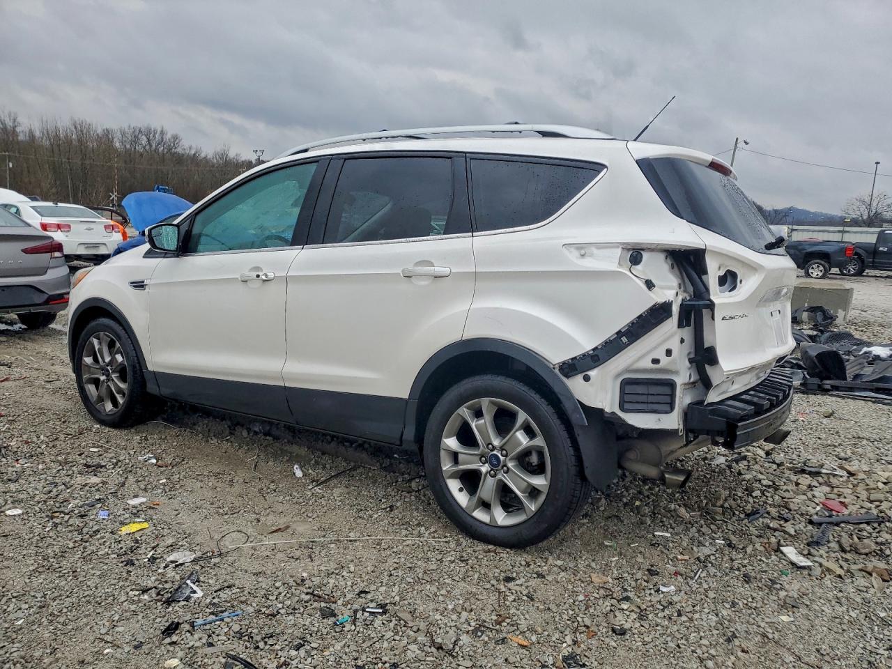 2014 FORD ESCAPE TITANIUM photo 2