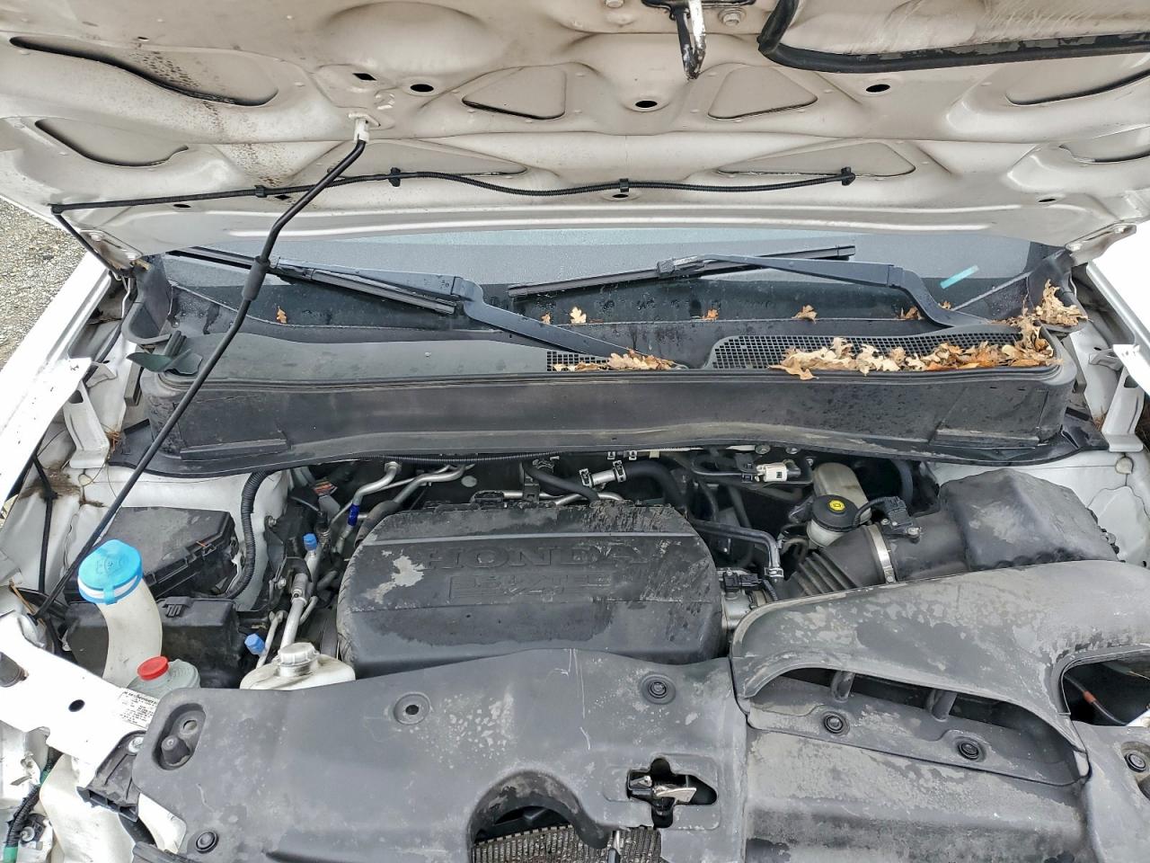 2013 HONDA PILOT EXL photo 12