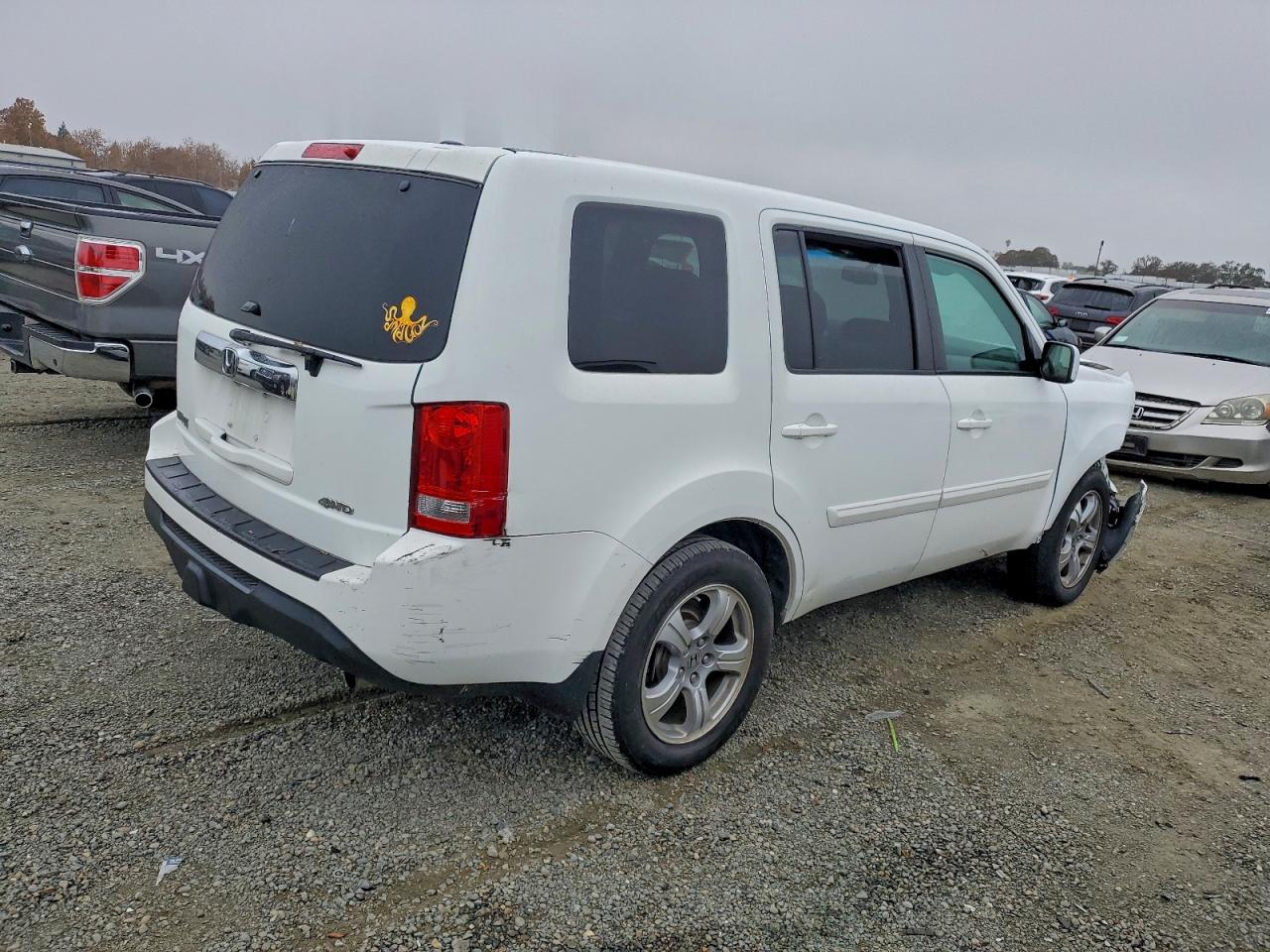 2013 HONDA PILOT EXL photo 3