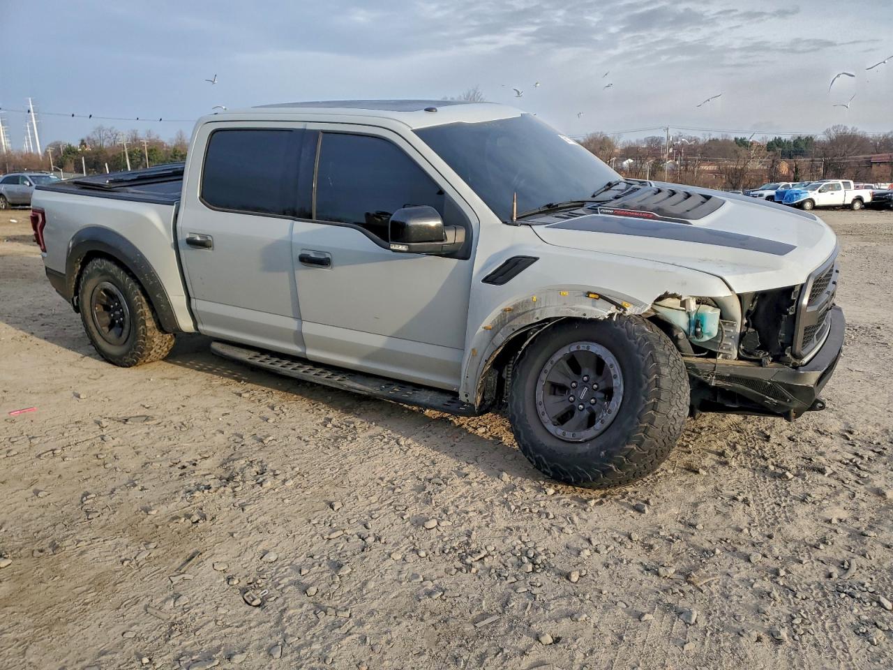 2017 FORD F150 RAPTOR photo 7