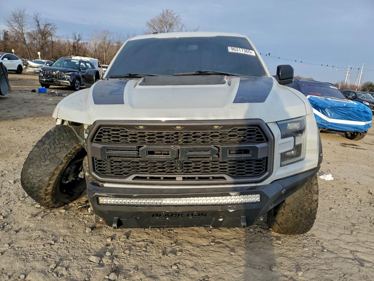 2017 FORD F150 RAPTOR photo 9