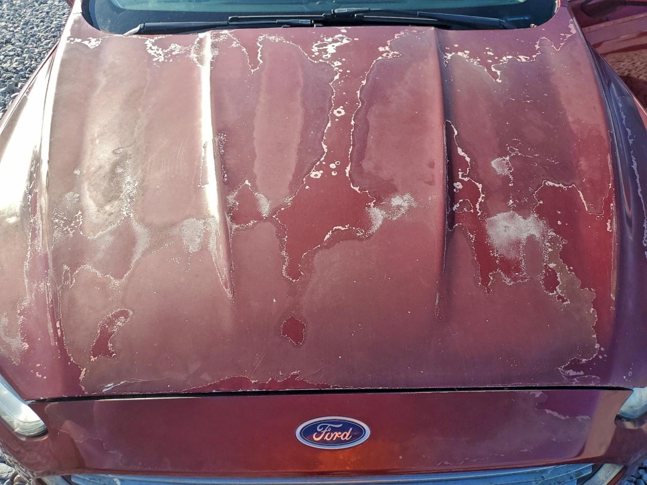 2013 FORD FUSION SE photo 11
