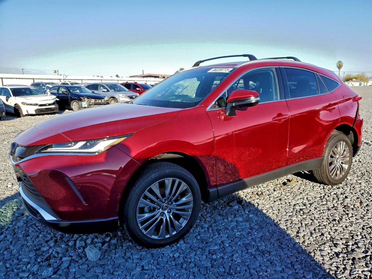 2024 TOYOTA VENZA