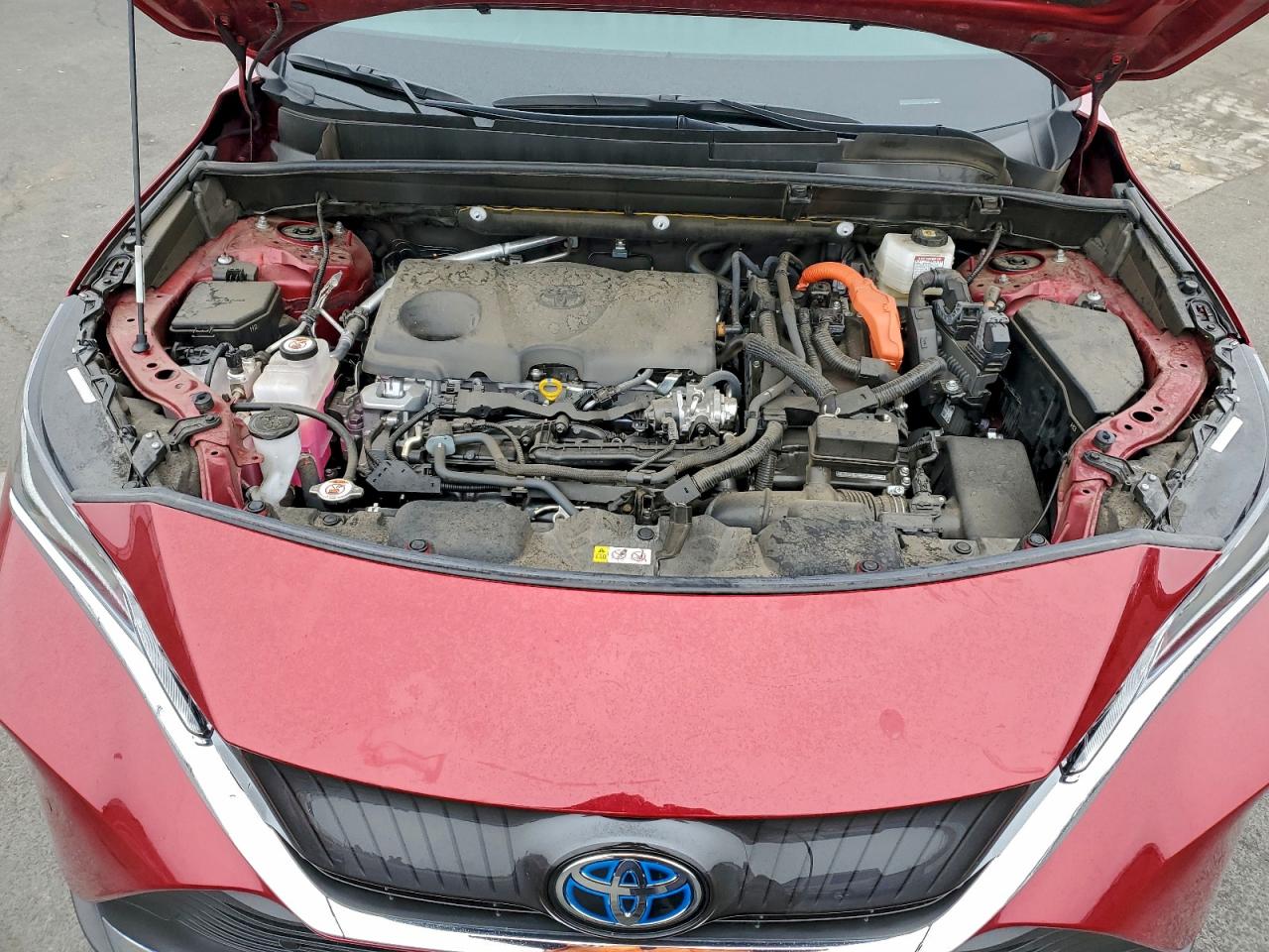 2024 TOYOTA VENZA LE photo 12
