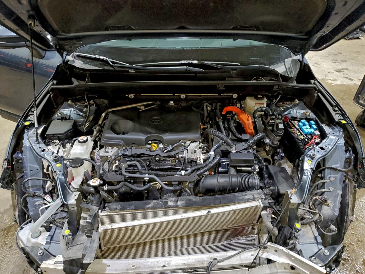 2021 TOYOTA VENZA LE photo 12