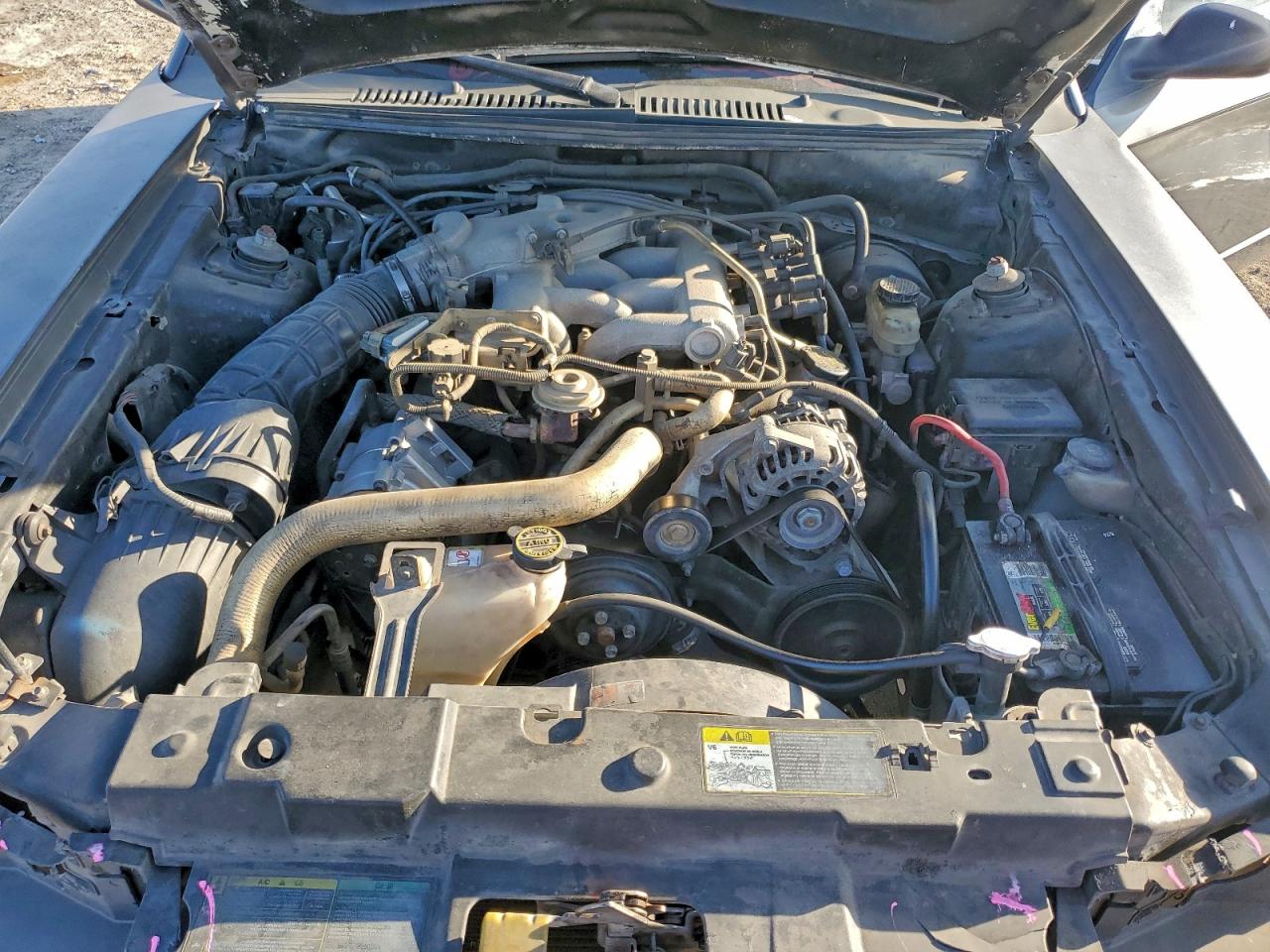 2004 FORD MUSTANG photo 11