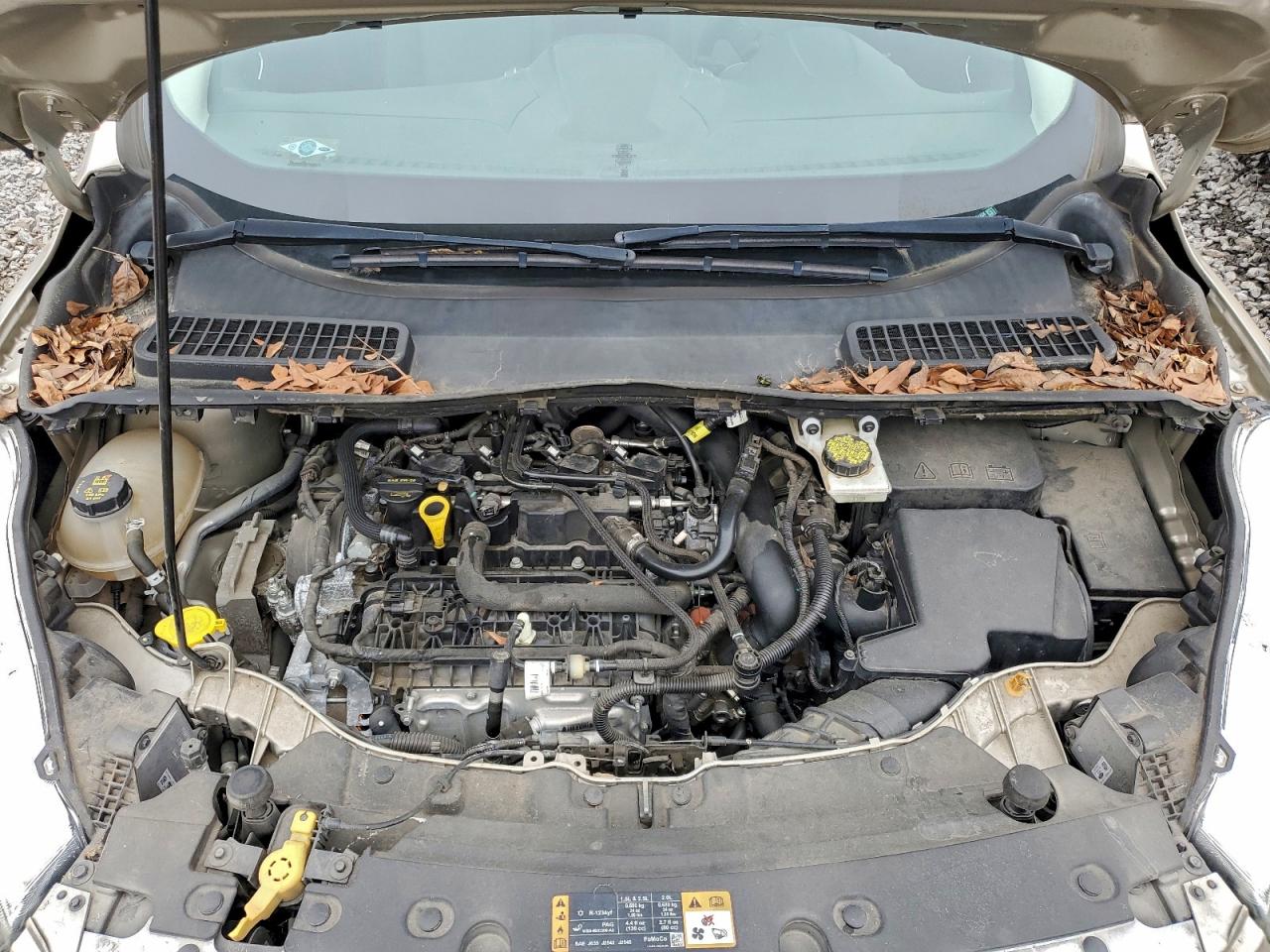 2017 FORD ESCAPE SE photo 11