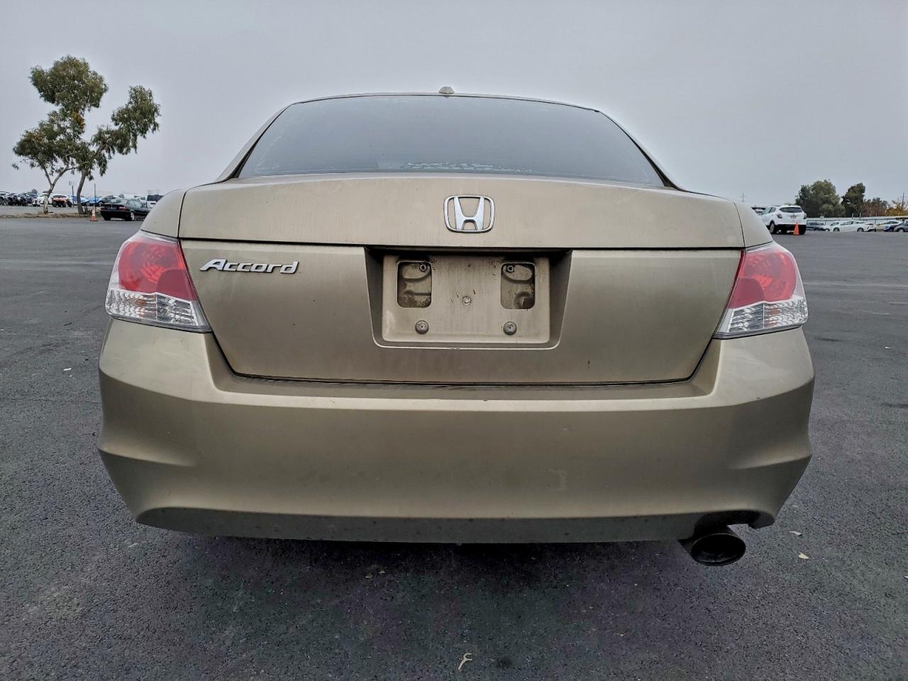 2008 HONDA ACCORD EXL photo 6