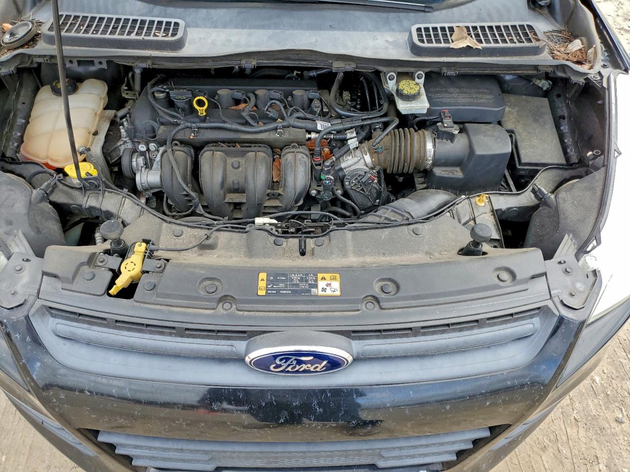 2014 FORD ESCAPE S photo 11