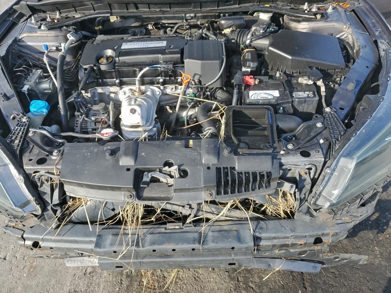 2014 HONDA ACCORD EX photo 11